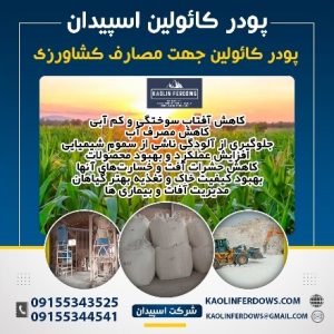 پودر کائولین اسپیدان جهت مصارف کشاورزی-پودر میکرونیزه کائولین معادن کائولین قلندرکوه و نادر فردوس-سایت تبلیغاتی ایستگاه تبلیغ