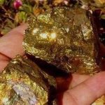 خرید برترین معدن طلای ایران