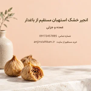 انجیر خشک طبیعی استهبان | انجیر باغات استهبان